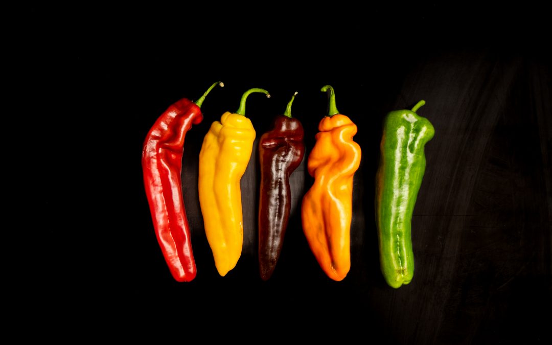 Hoppla – 8 Auszeichnungen, ein Herz voller Leidenschaft